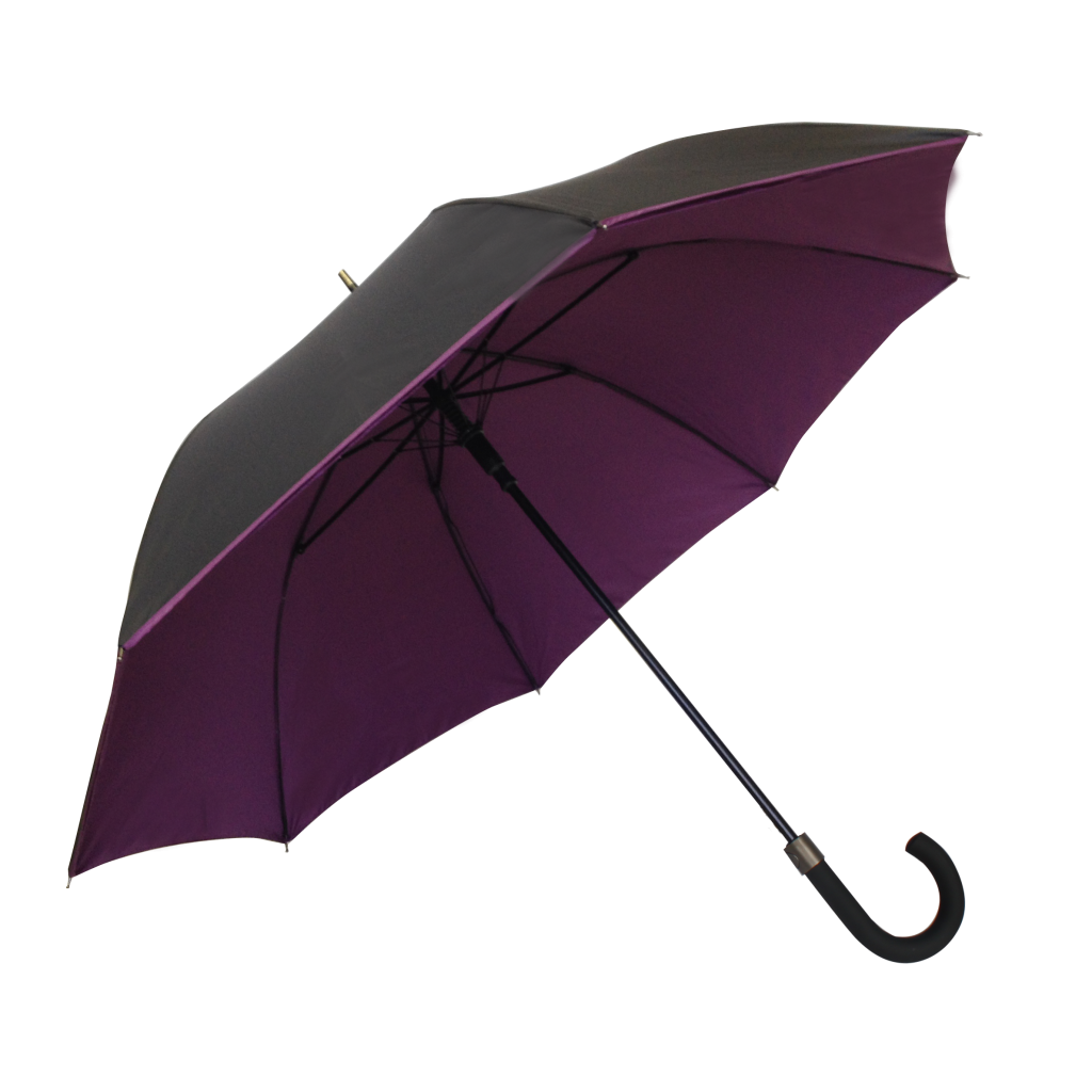 Два зонтика. Палка зонт. Зонт из Вайолет. Umbrella стик. Parapluie.