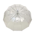 Parapluie droit femme automatique dôme transparent petite bordure blanche
